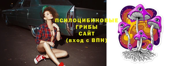 молекула духа Арсеньев