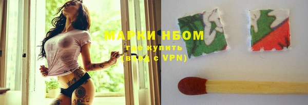 молекула духа Арсеньев