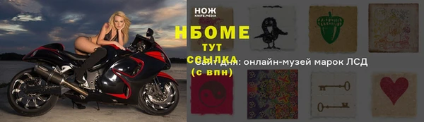 эйфоретик Няндома