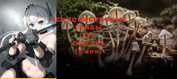 молекула духа Арсеньев