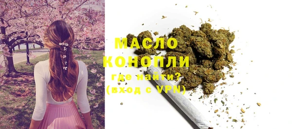 молекула духа Арсеньев