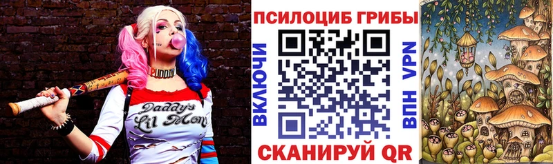 что такое наркотик  кракен зеркало  Псилоцибиновые грибы Psilocybe  Палласовка 